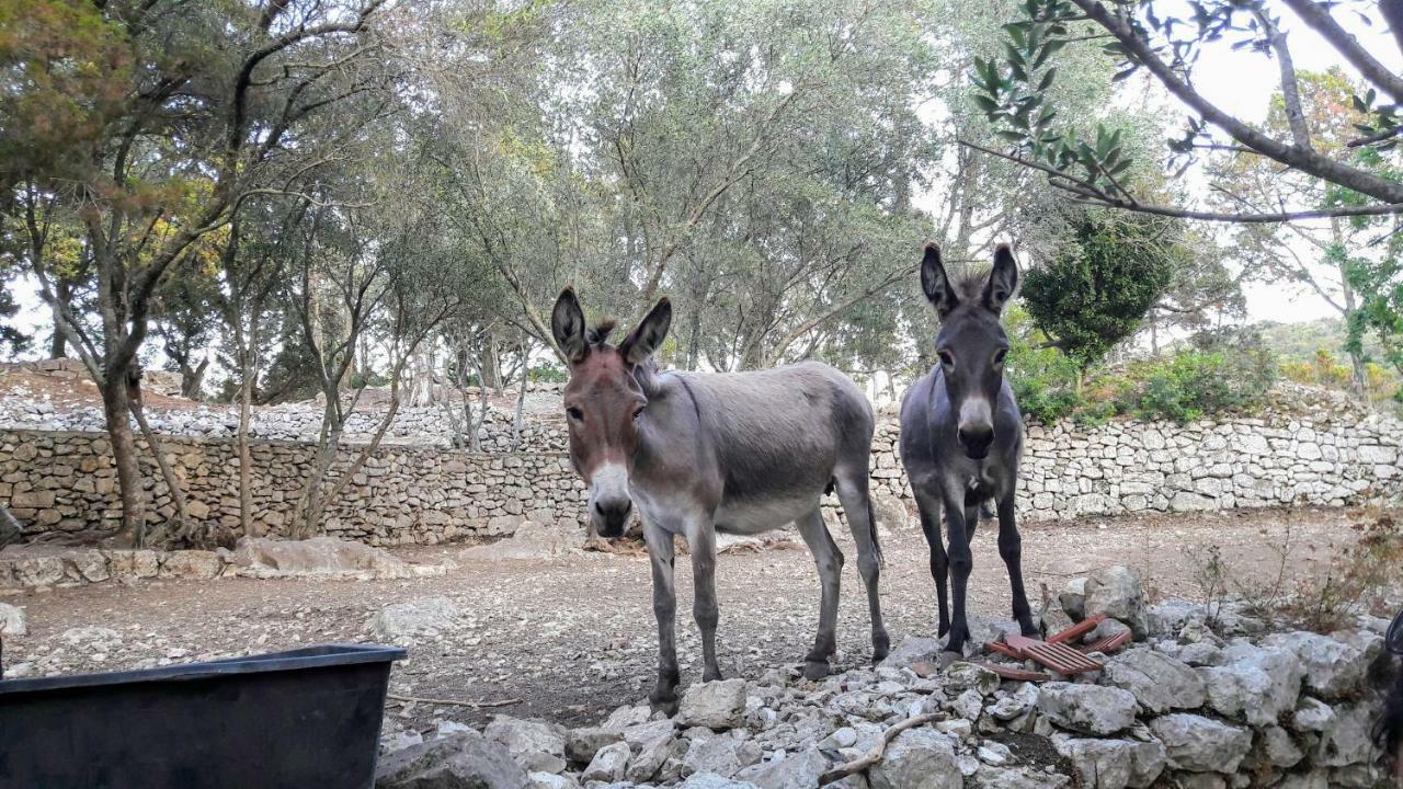 Апартаменты Authentic Ap For 2, Babino Polje,Mljet Экстерьер фото