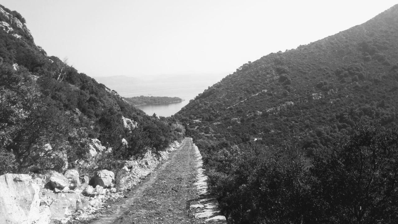 Апартаменты Authentic Ap For 2, Babino Polje,Mljet Экстерьер фото