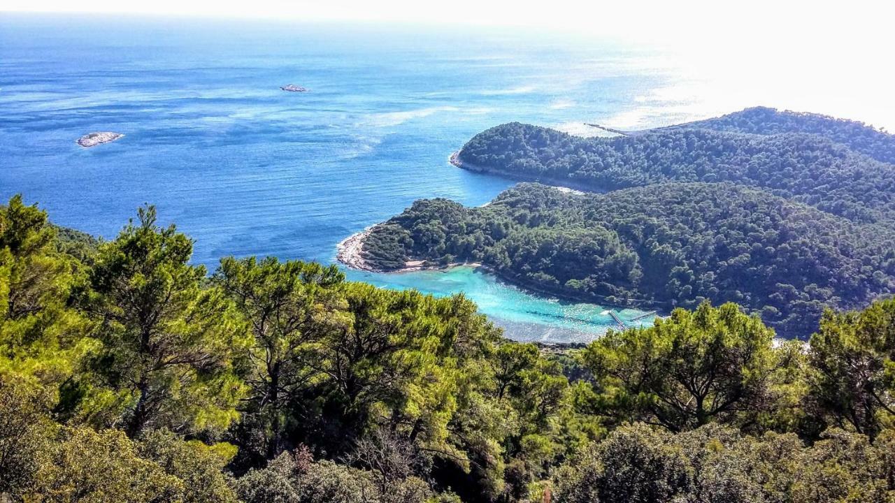 Апартаменты Authentic Ap For 2, Babino Polje,Mljet Экстерьер фото