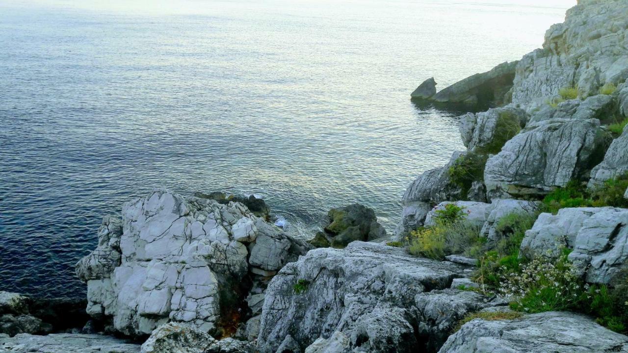 Апартаменты Authentic Ap For 2, Babino Polje,Mljet Экстерьер фото